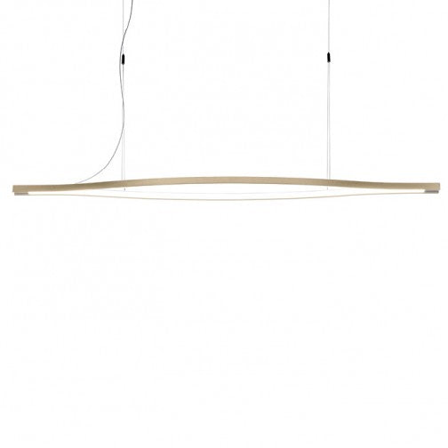 Galileo Longue